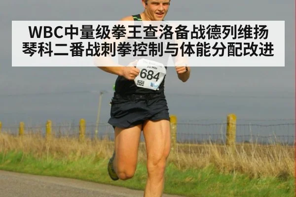 WBC中量级拳王查洛备战德列维扬琴科二番战刺拳控制与体能分配改进